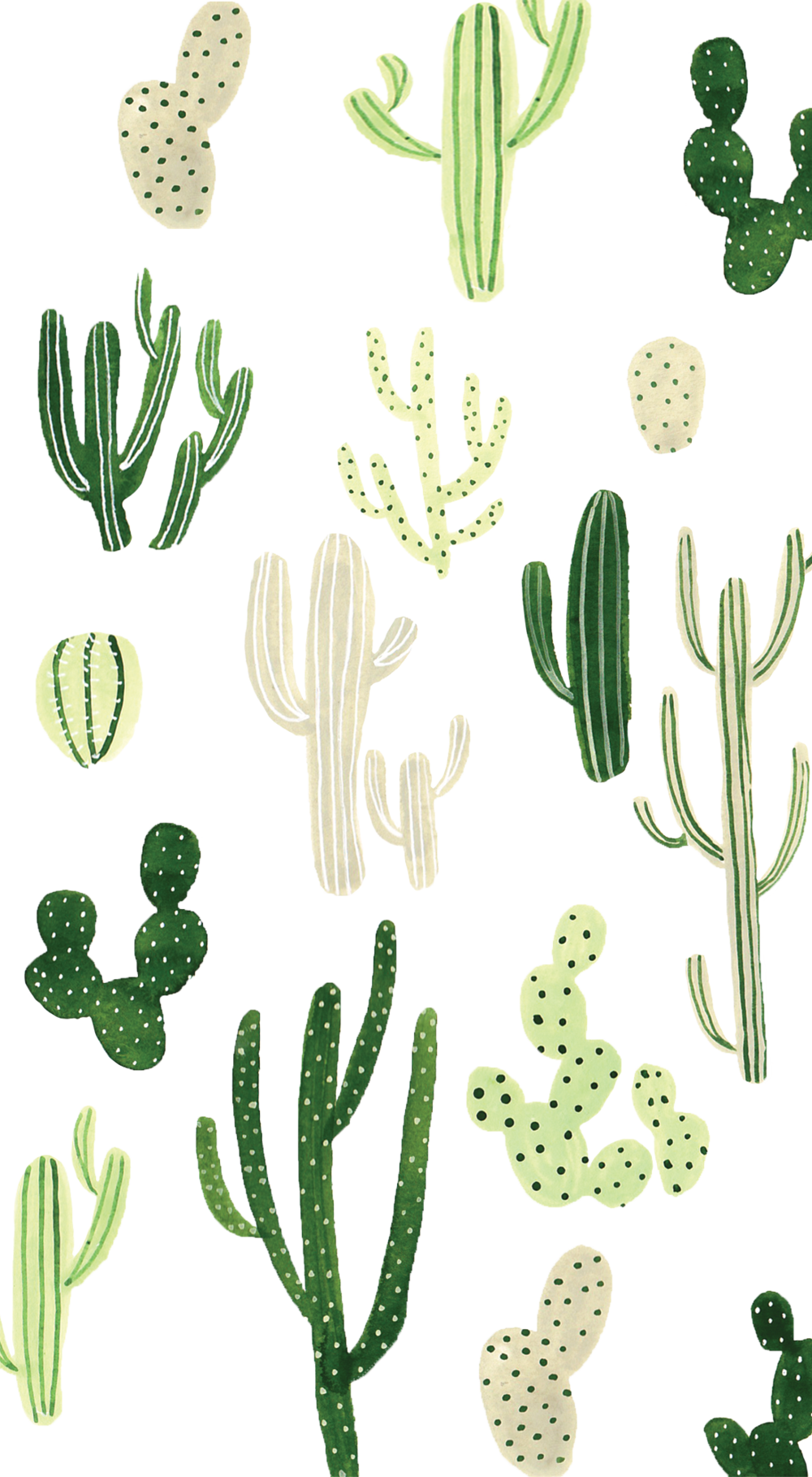 Cactus - HD Wallpaper 
