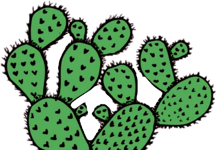 Cactus Tumblr Green Tumblrcactus - Stickers Tumblr De Nopal - HD Wallpaper 