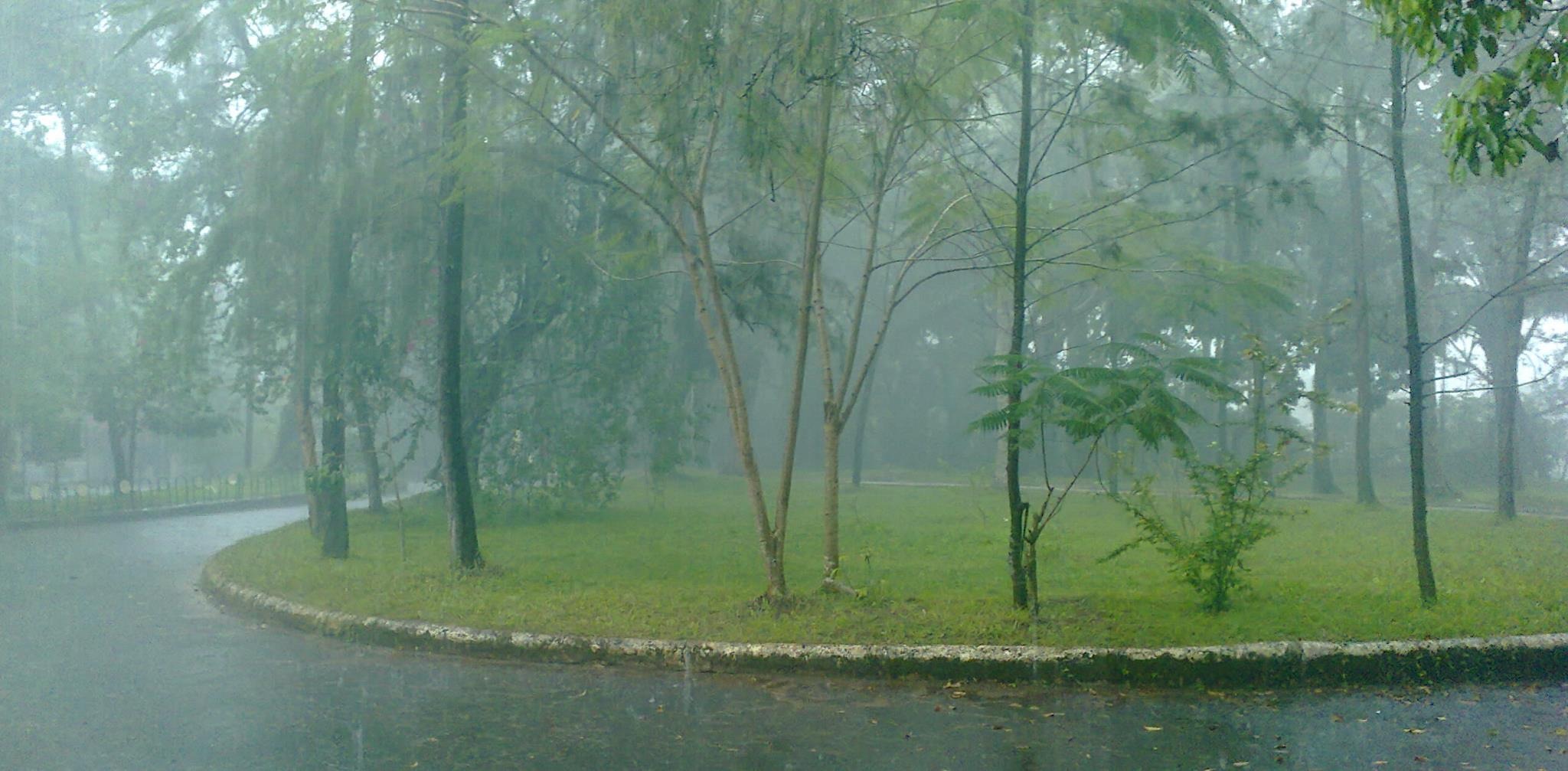 Рясный парной дождик. Моросящий дождь. Природные явления дождь. Мелкий дождь.