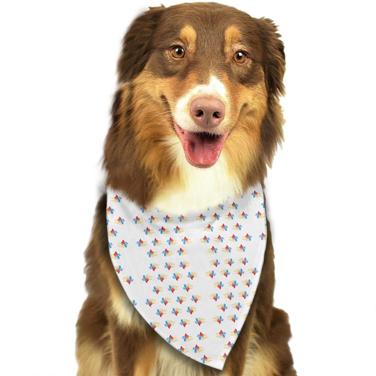 Scarf - HD Wallpaper 