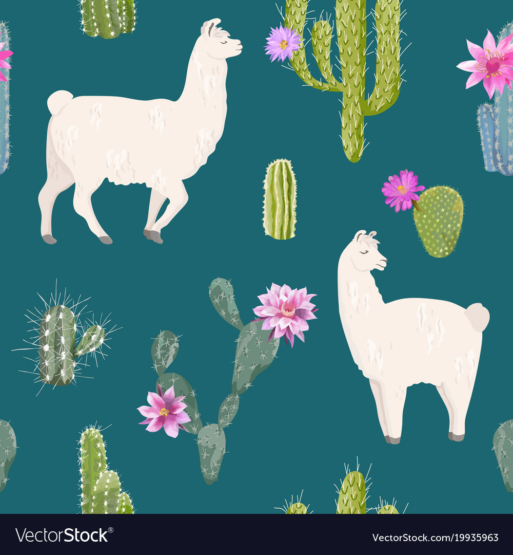 Alpaca And Cactus - HD Wallpaper 