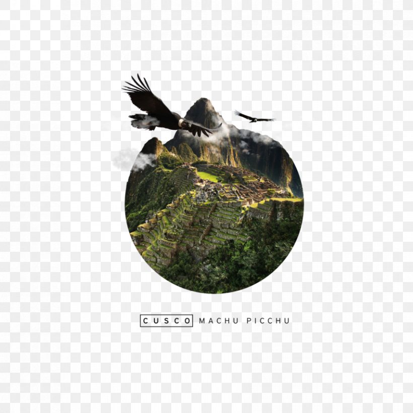 Desktop Wallpaper Partition Wall Cusco Wallpaper, Png, - Hawk - HD Wallpaper 