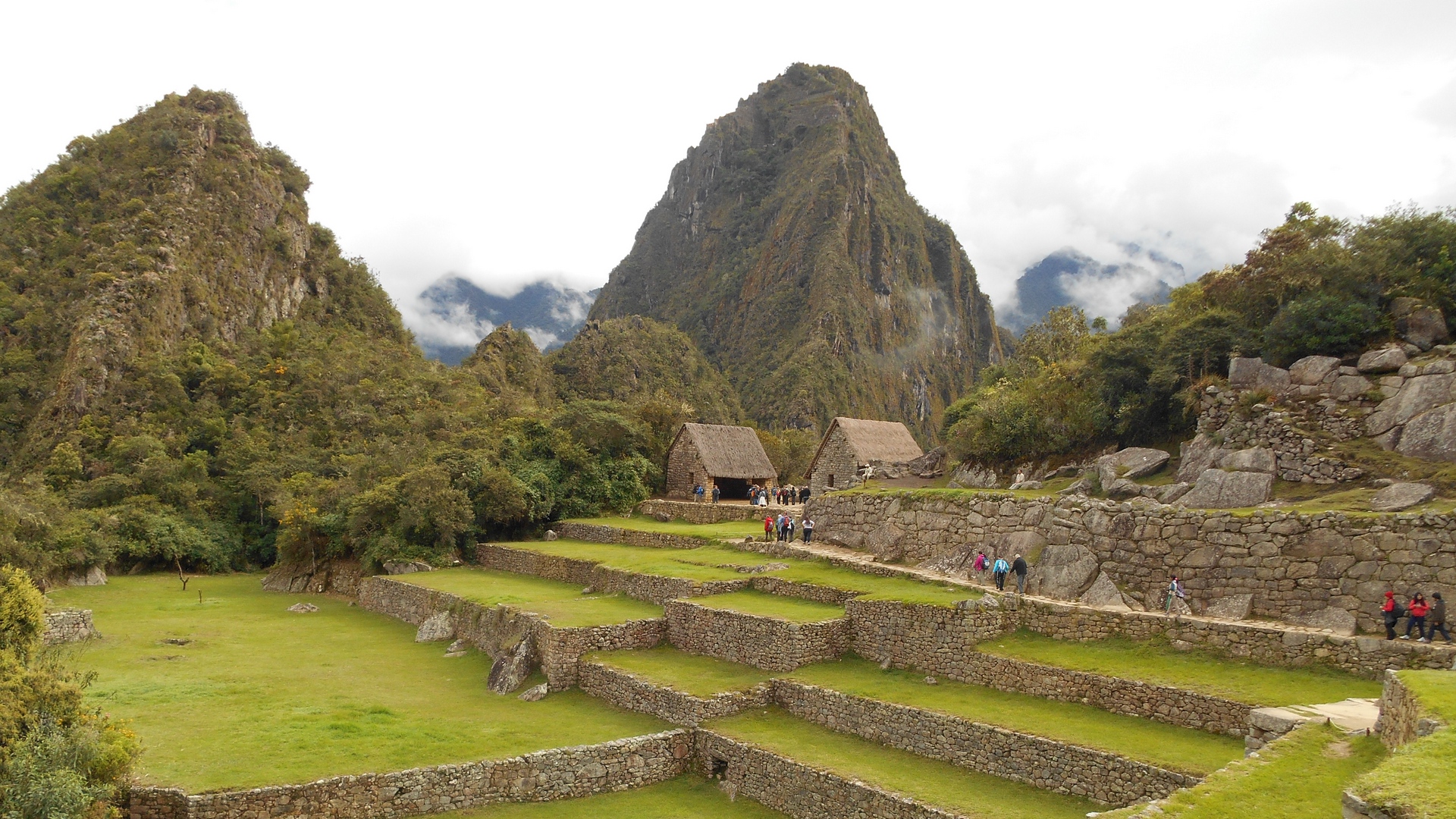 Wallpaper Machu Picchu, Peru, Buildings, Grass - Machu Picchu - HD Wallpaper 