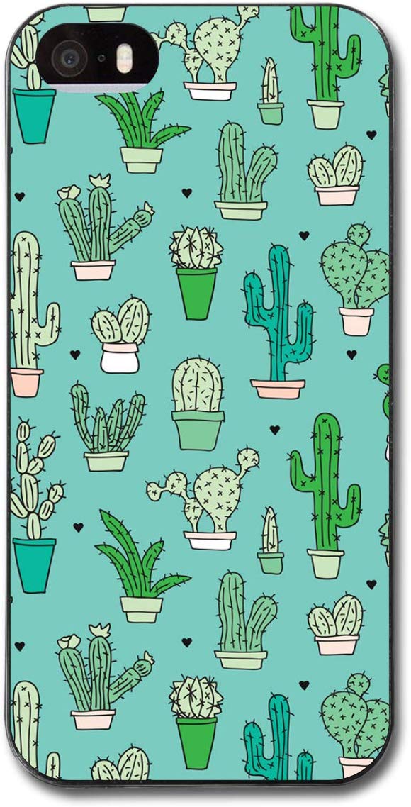 Cactus - HD Wallpaper 