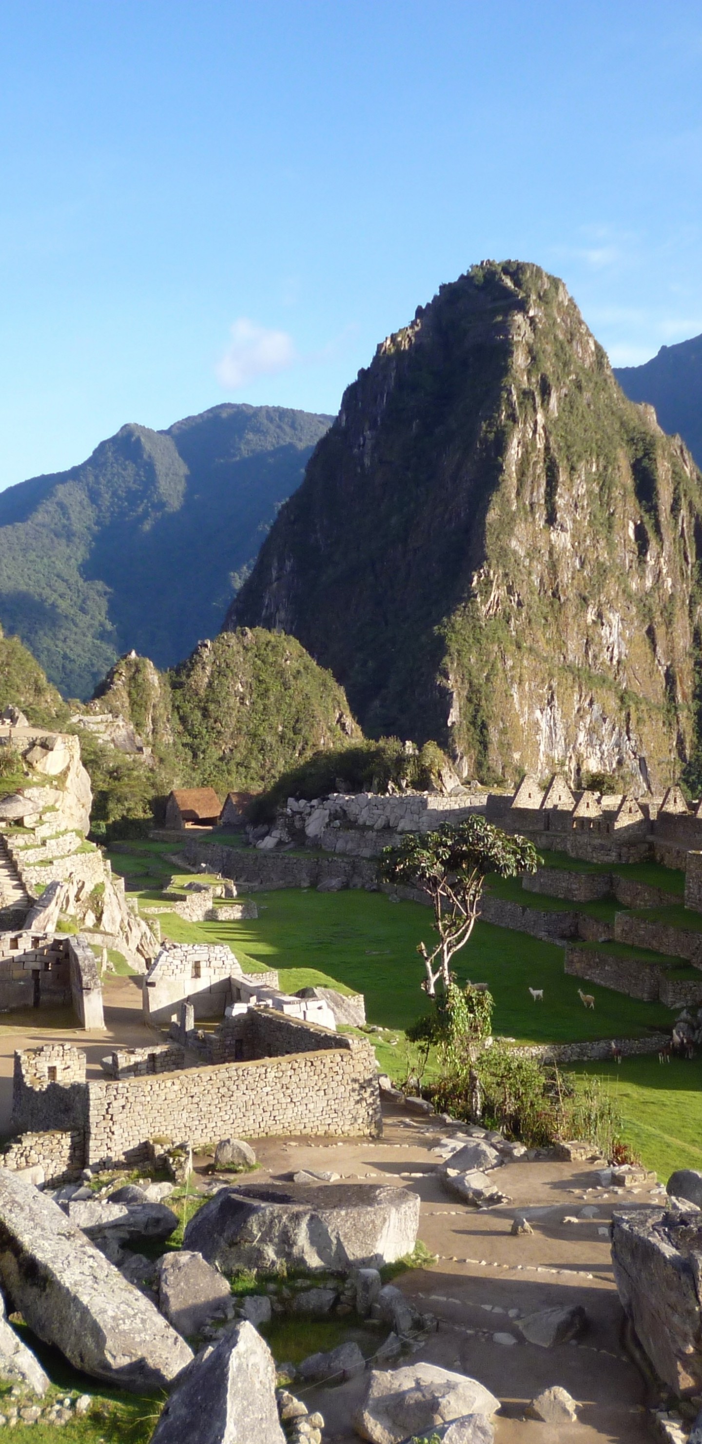 Machu Picchu, Peru, Mountain, Monuments - Machu Picchu - HD Wallpaper 