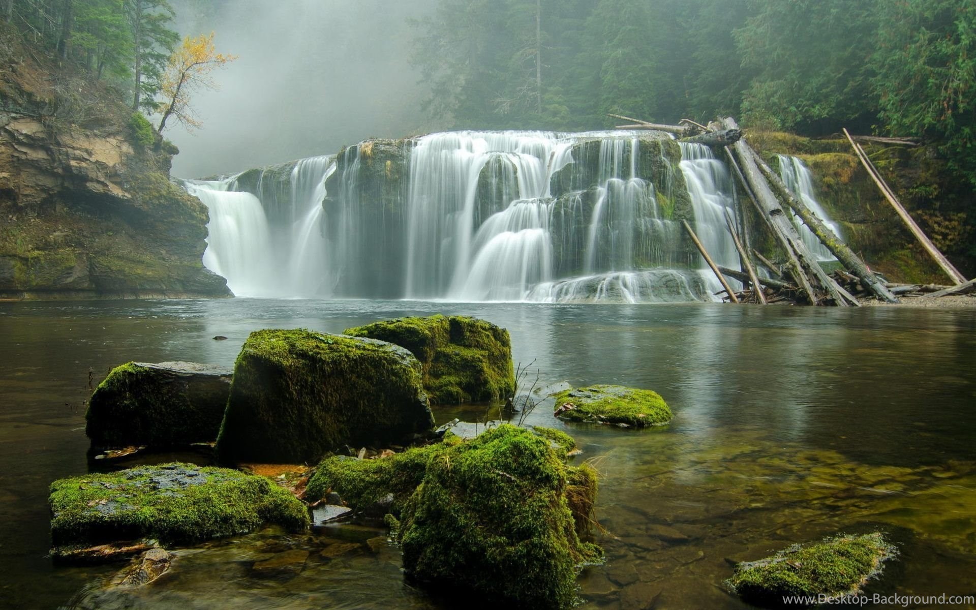 1920x1200 Forest Waterfall Wallpapers Download Of Nature In Rain Hd