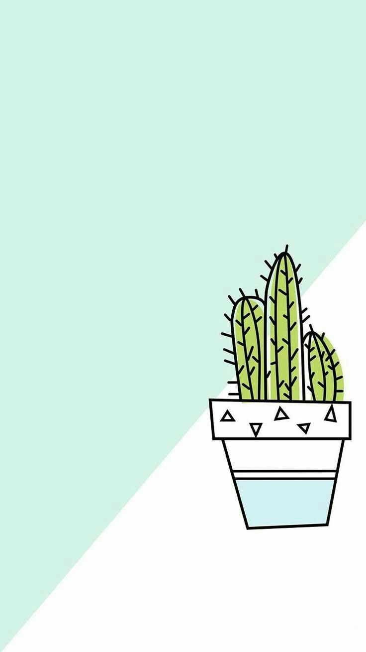 Fondos De Pantalla De Cactus 736x1309 Wallpaper Teahub Io
