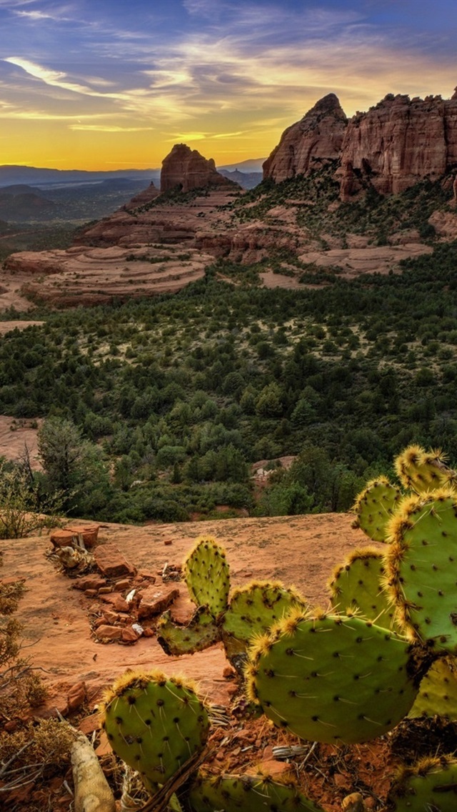 Iphone Wallpaper Usa, Sedona, Mountains, Rocks, Cactus - Schnebly Hill Road - HD Wallpaper 