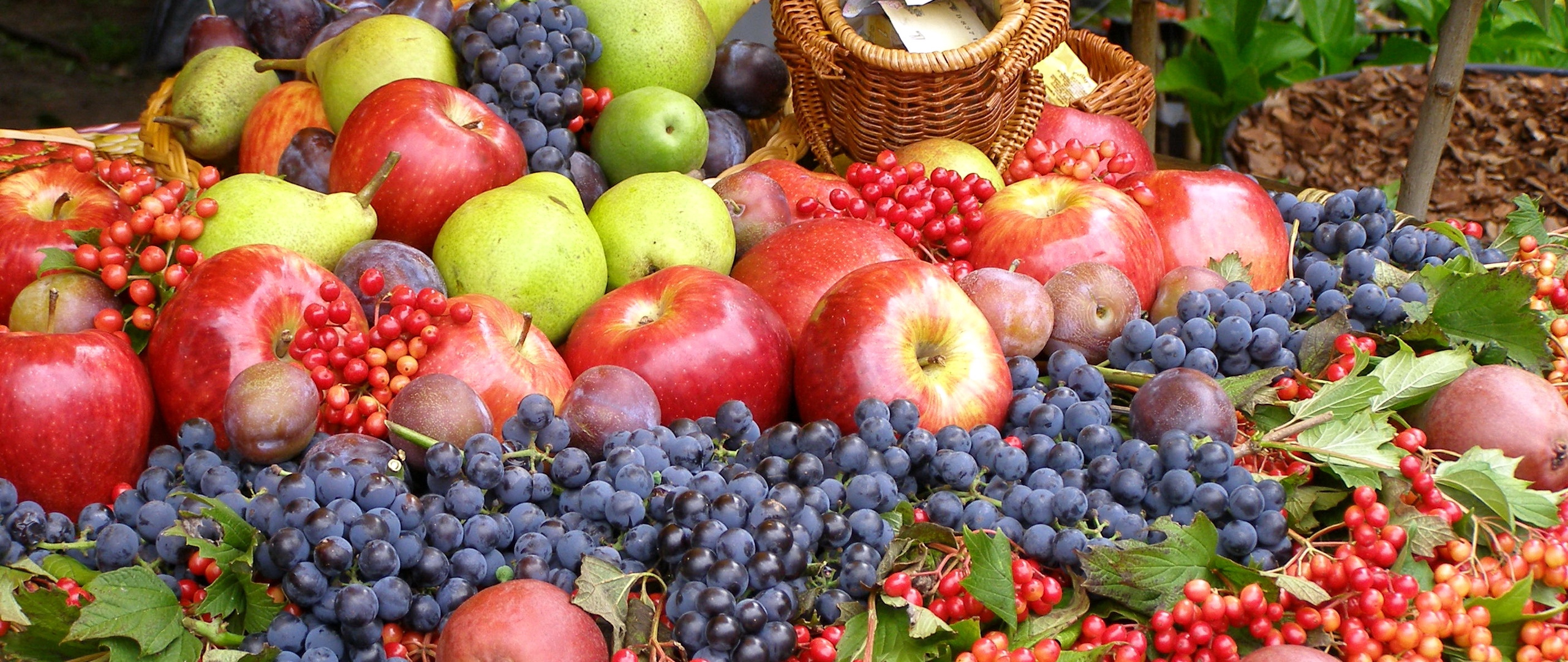 Wallpaper Grapes, Apples, Much, Fruits - Fruit Wallpaper Wide - HD Wallpaper 