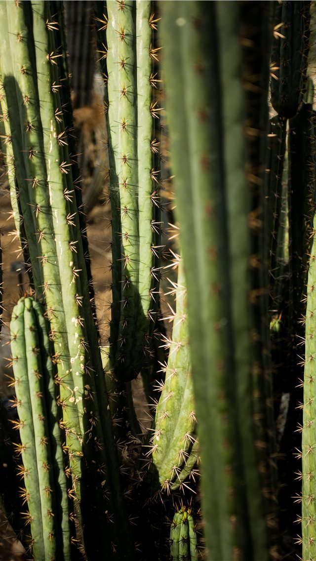 Iphone - HD Wallpaper 
