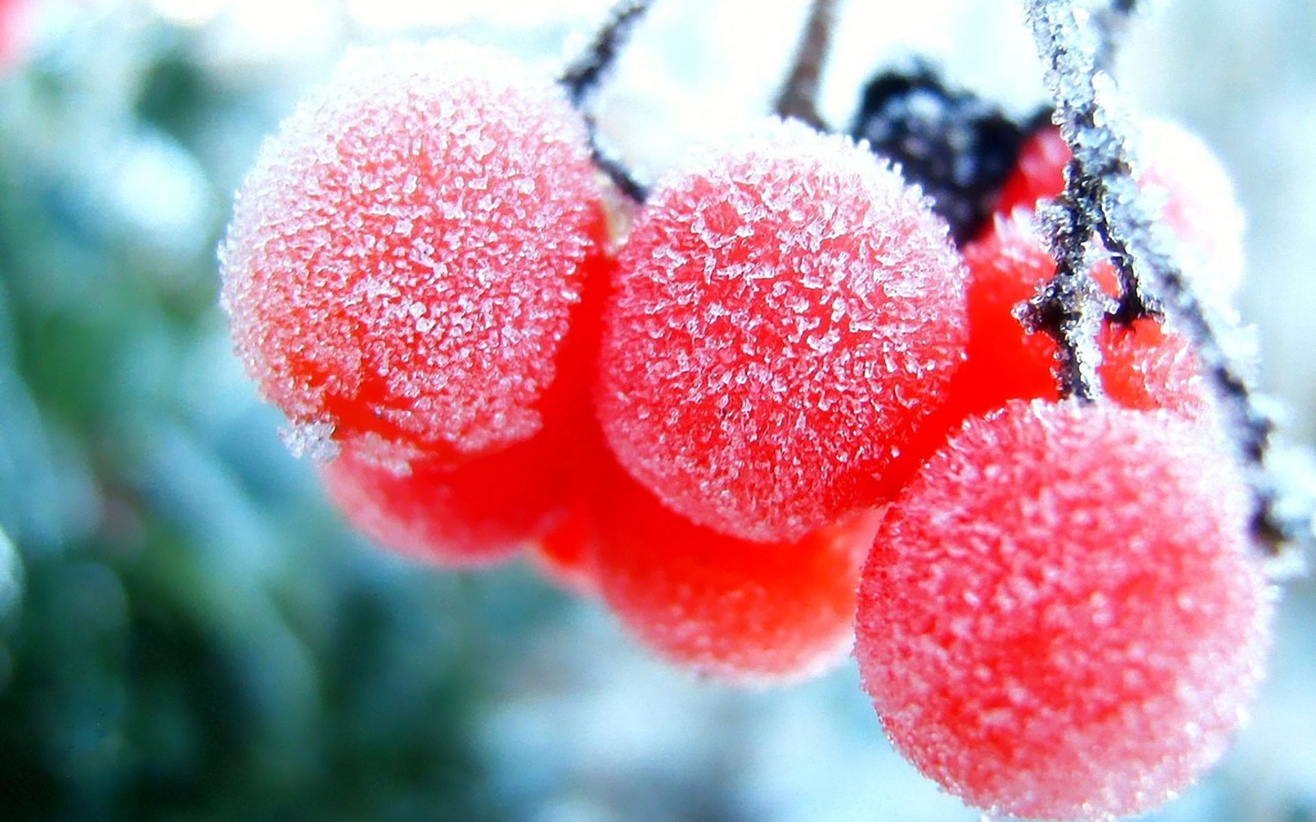 Wallpaper Download Hd-10 - Frozen Fruit Hd - HD Wallpaper 