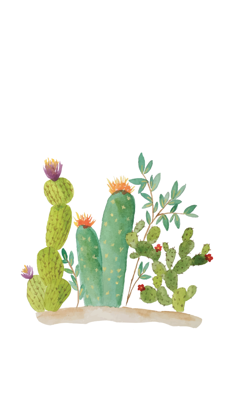 Cactus Wallpaper - Cactus Wallpaper Iphone 6 - HD Wallpaper 