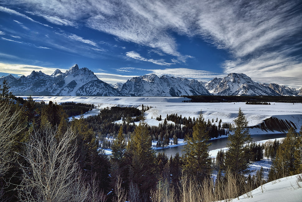 Gray Trees Near Mountain During Daytime, Snake River, - Grand Teton National Park - HD Wallpaper 