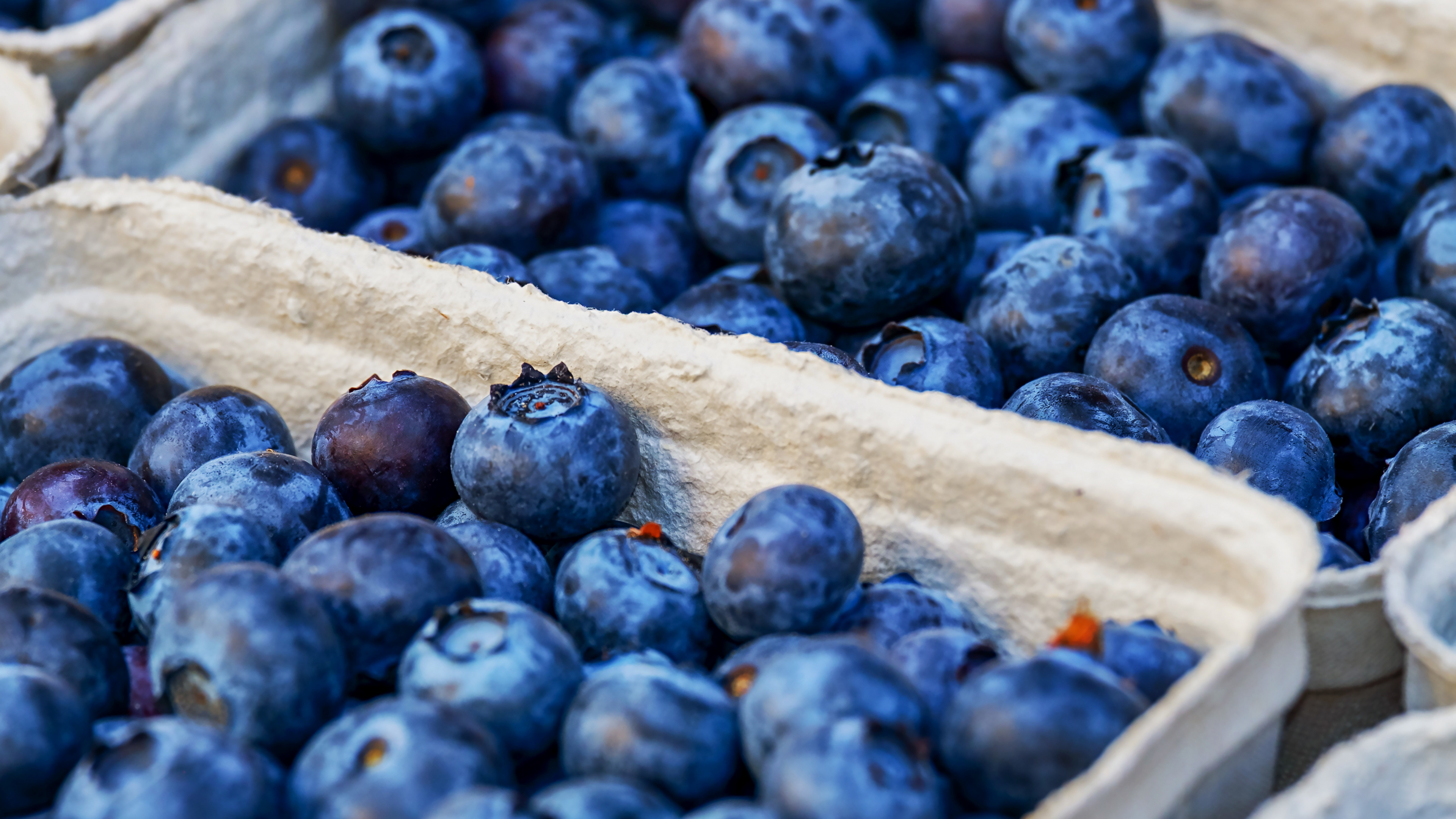 Ultra Hd Blueberries Hd - HD Wallpaper 
