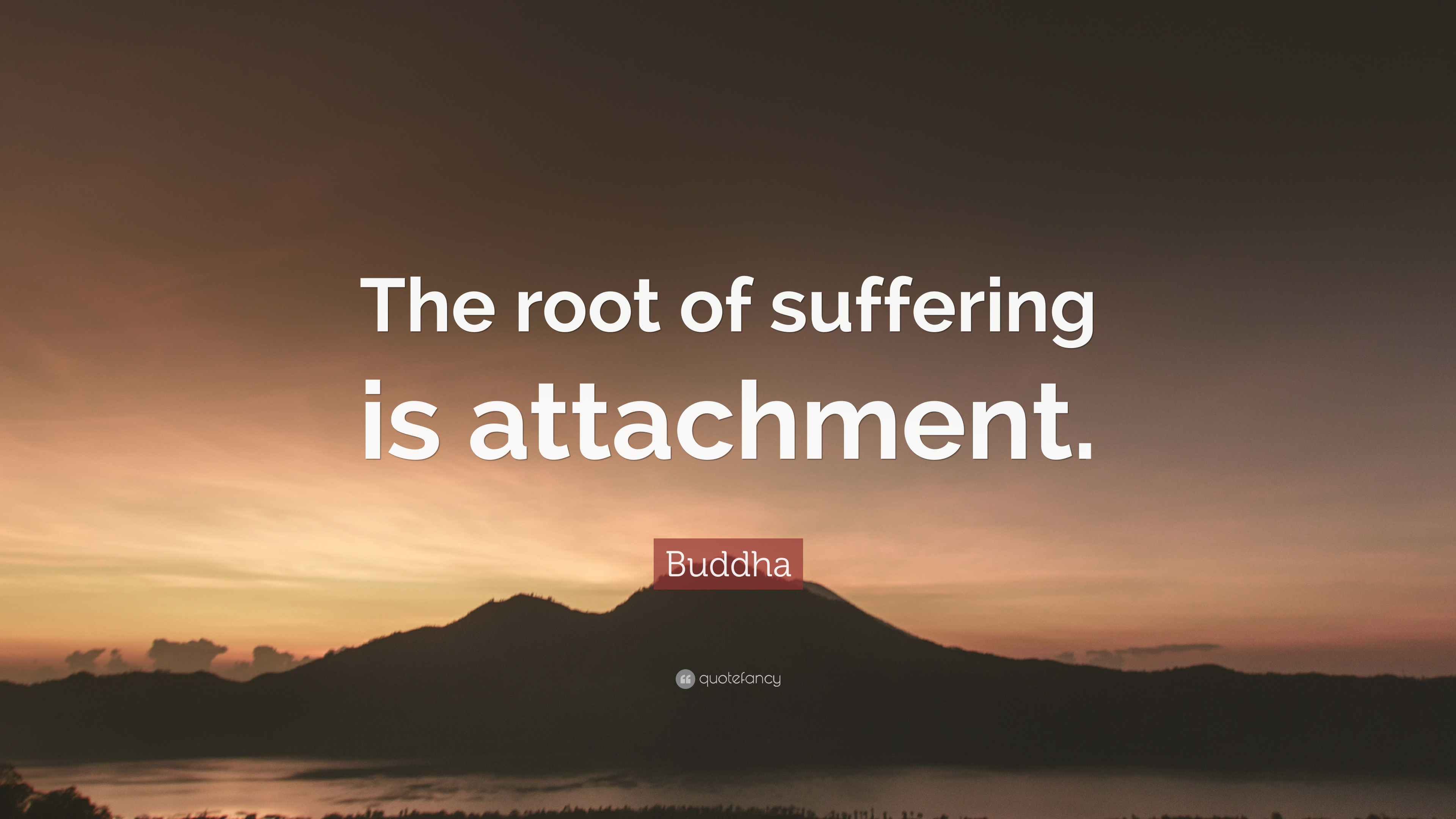 “the Root Of Suffering Is Attachment - Cs Lewis Quotes Looking Back - HD Wallpaper 