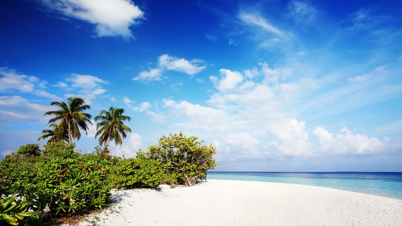 Description Download Nature Beach Wallpaper Desktop - Nature 1280 By 720 - HD Wallpaper 