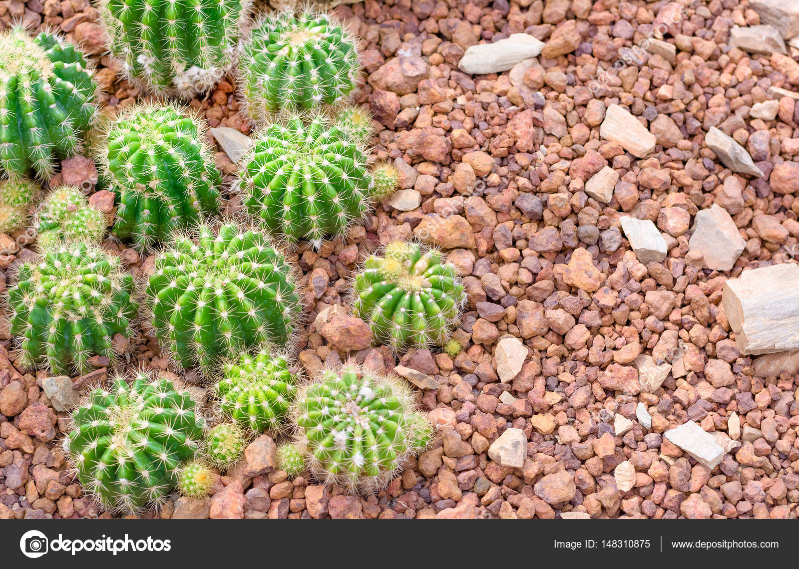 Photograph - HD Wallpaper 