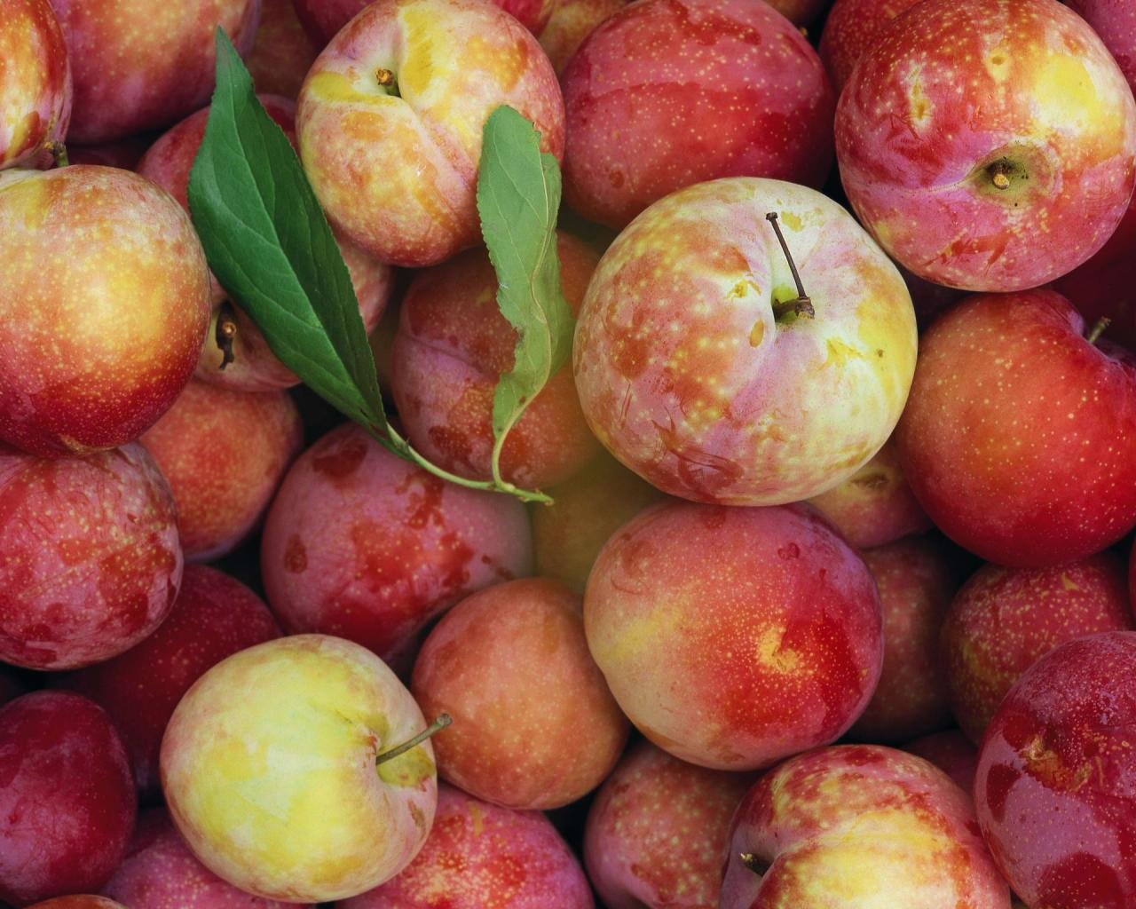 Free Download Fruit Wallpaper Id - Fruit - HD Wallpaper 