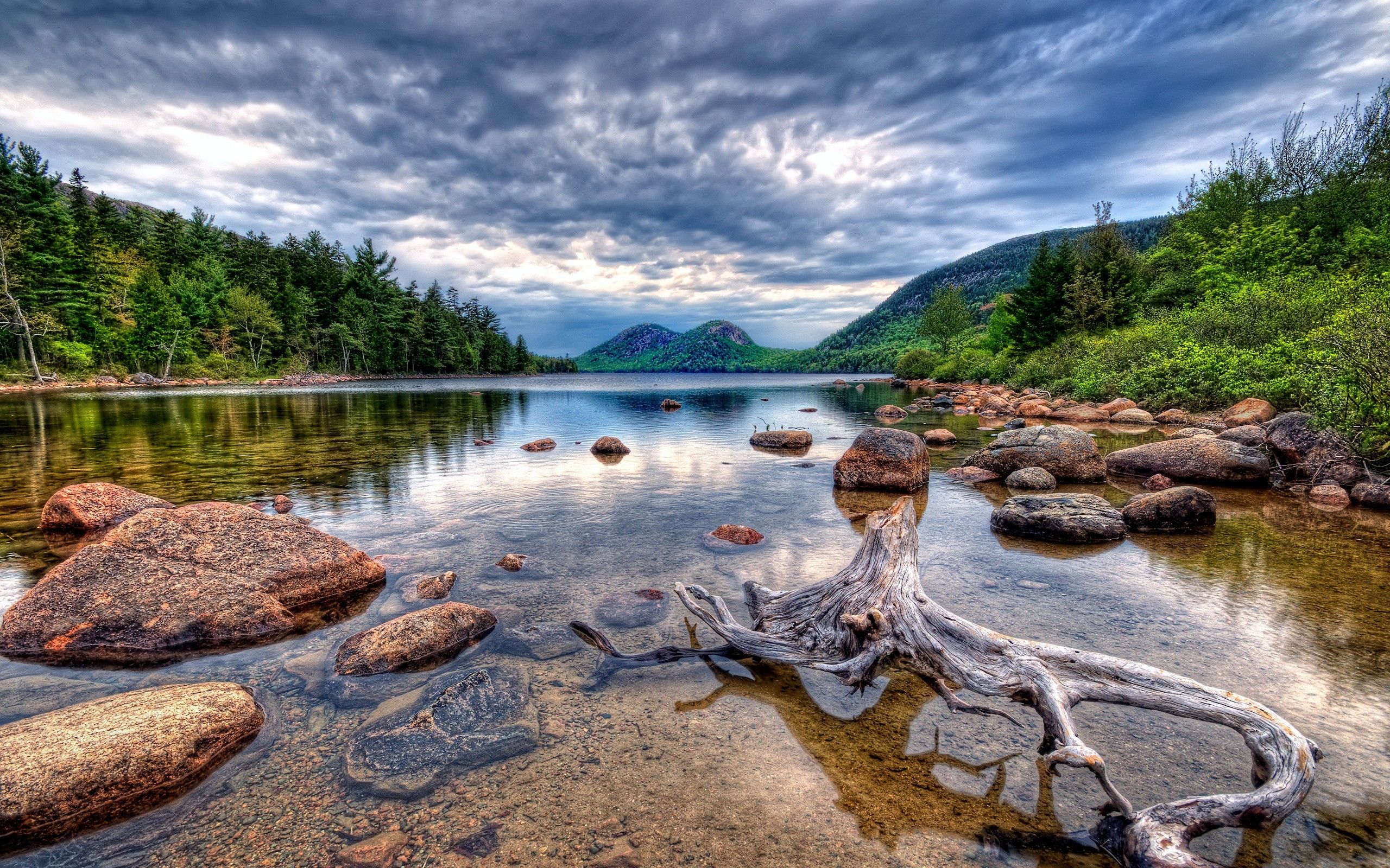 Lake, Stones, Root, Snag - Acadia National Park - HD Wallpaper 