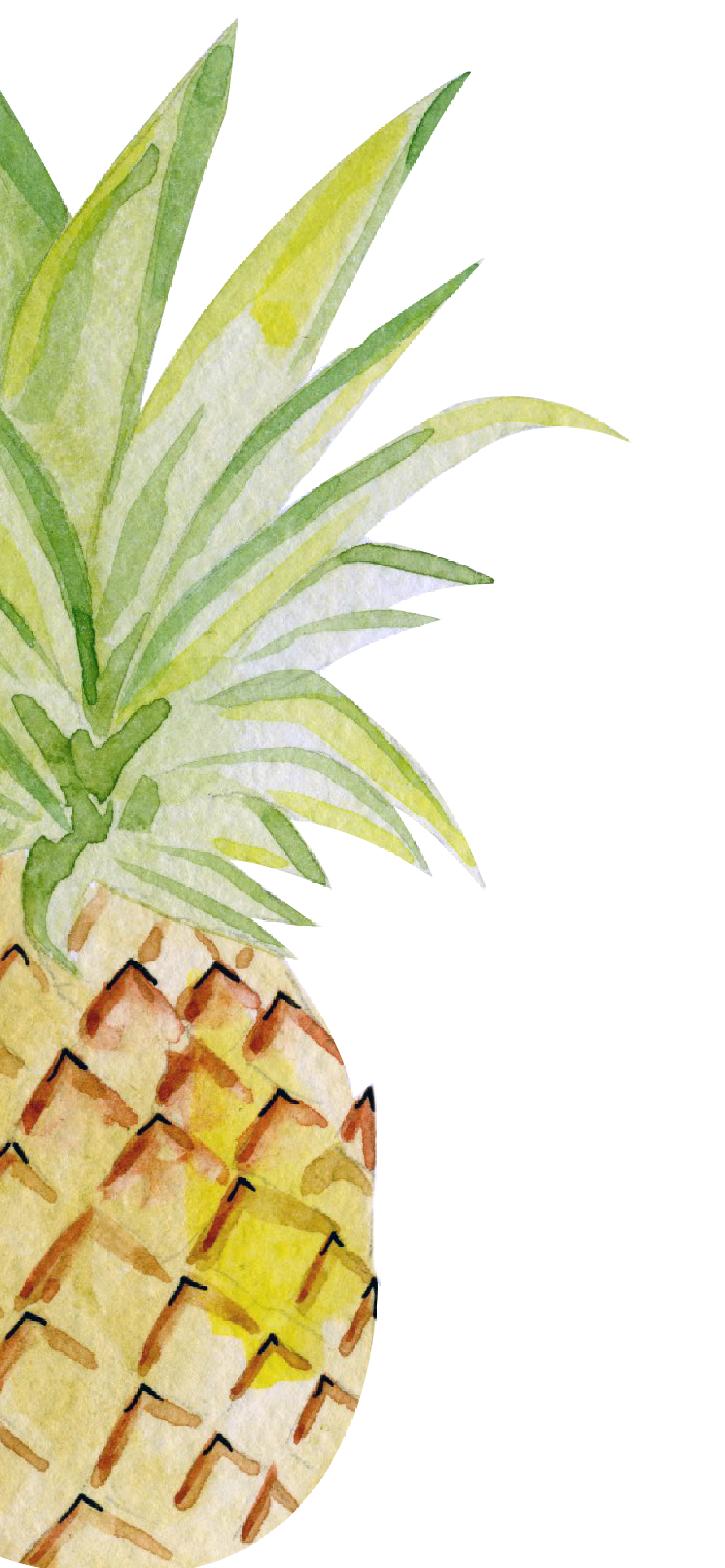 Pineapple Wallpaper For Phone - HD Wallpaper 