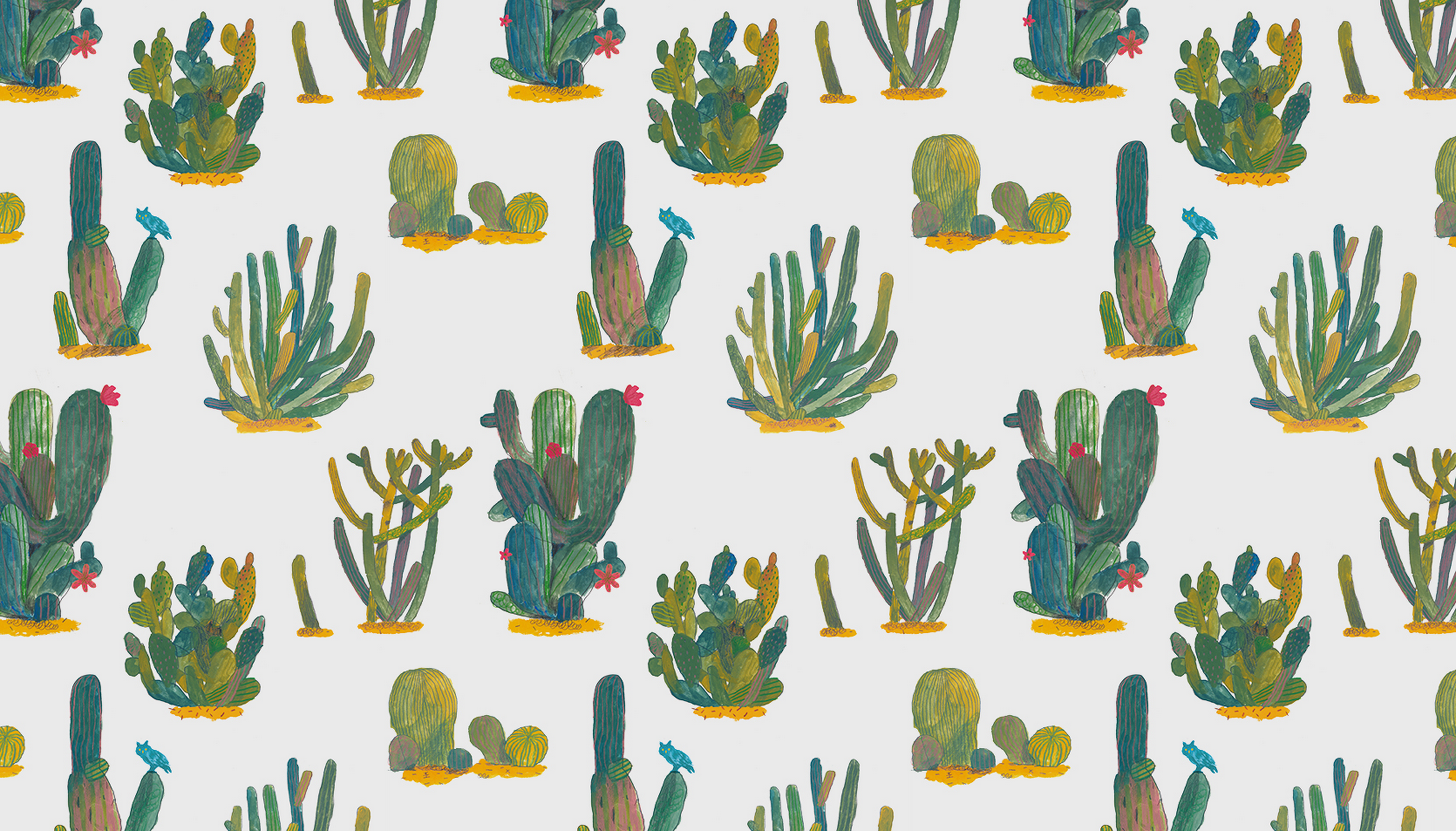 Kaktus Wallpaper - Eastern Prickly Pear - HD Wallpaper 