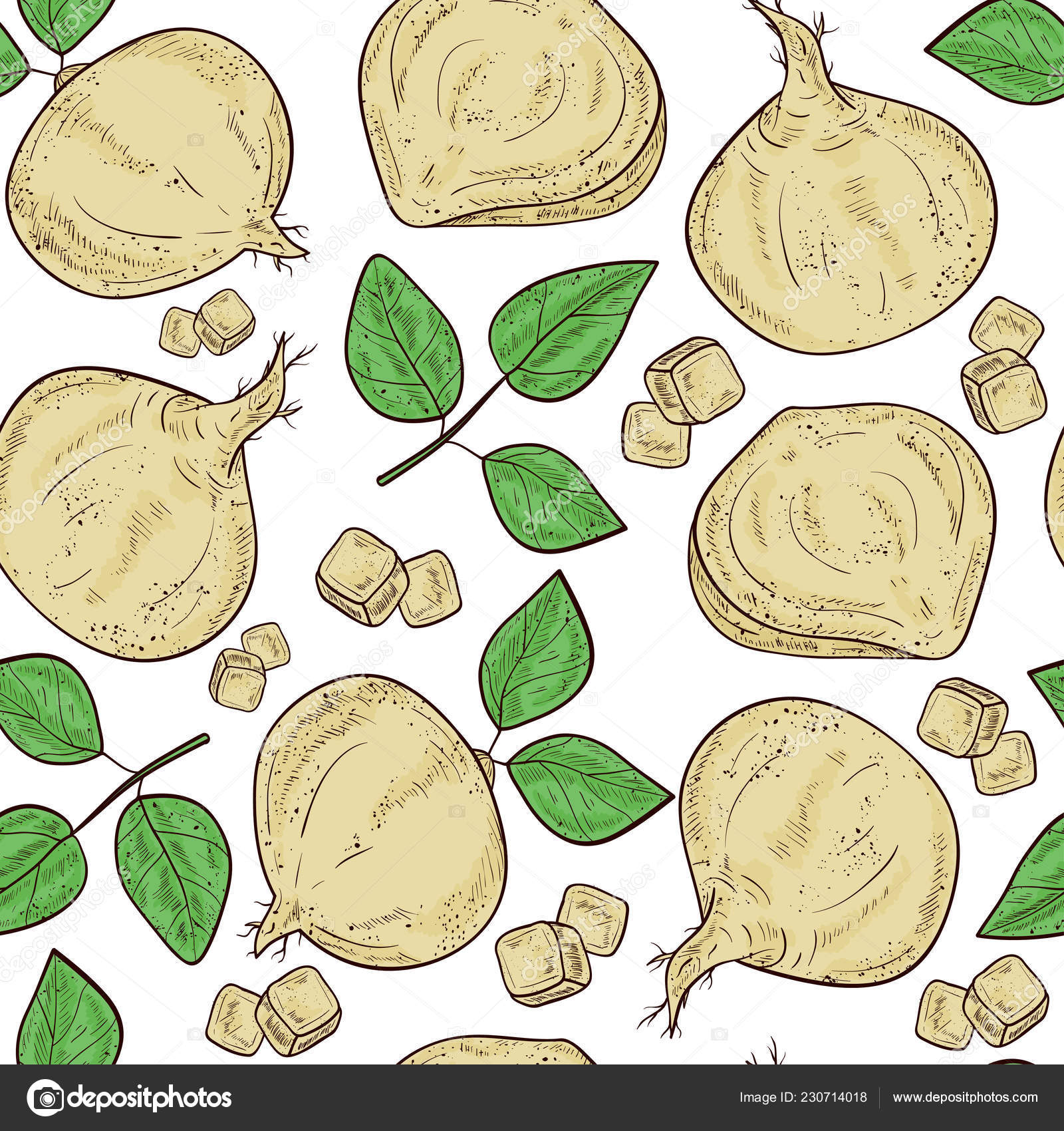 Jicama Background - HD Wallpaper 