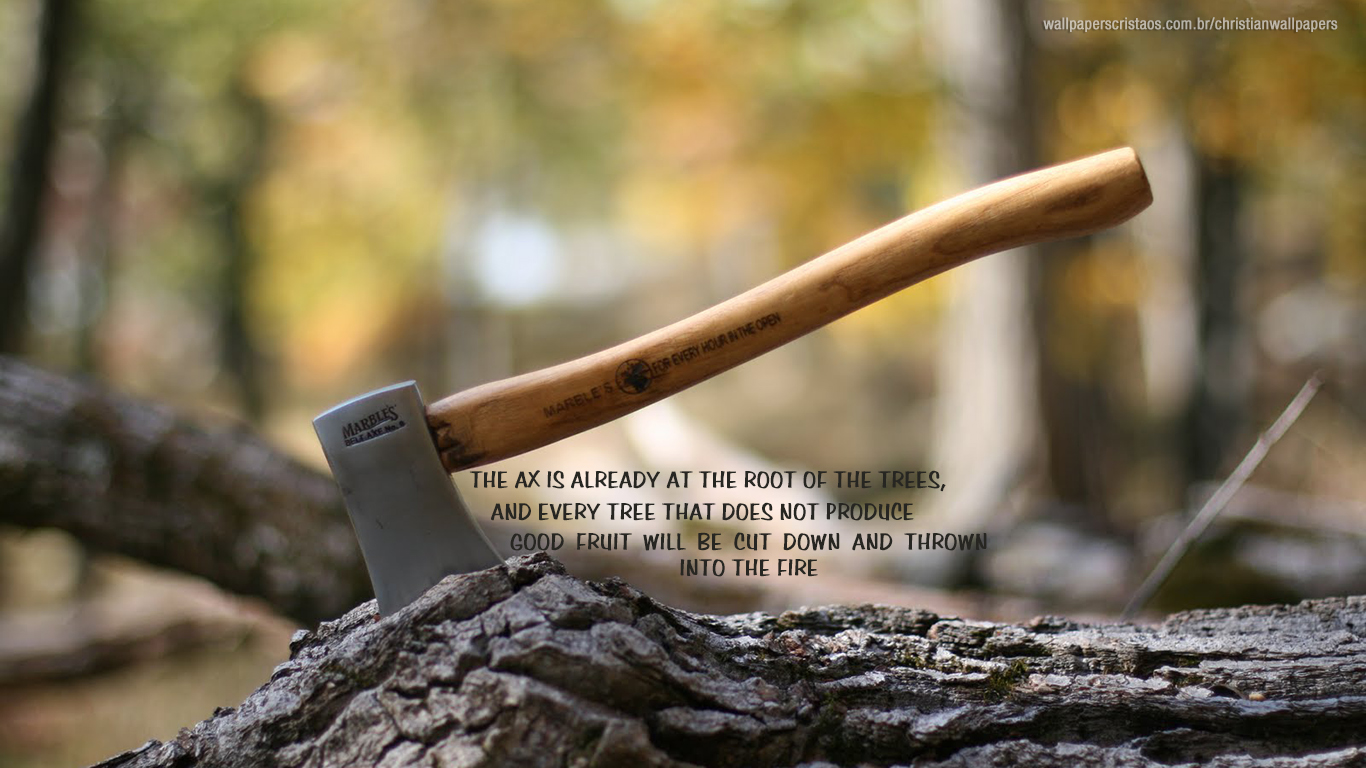 The Ax Is Already At The Root Of The Trees Christian - Every Tree That Does Not Bear Good Fruit Is Cut Down - HD Wallpaper 
