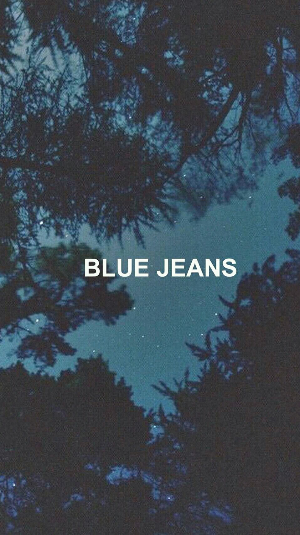 Wallpaper Echeveria, Succulent, Flowers, Houseplant - Succulent Plants Desktop - HD Wallpaper 