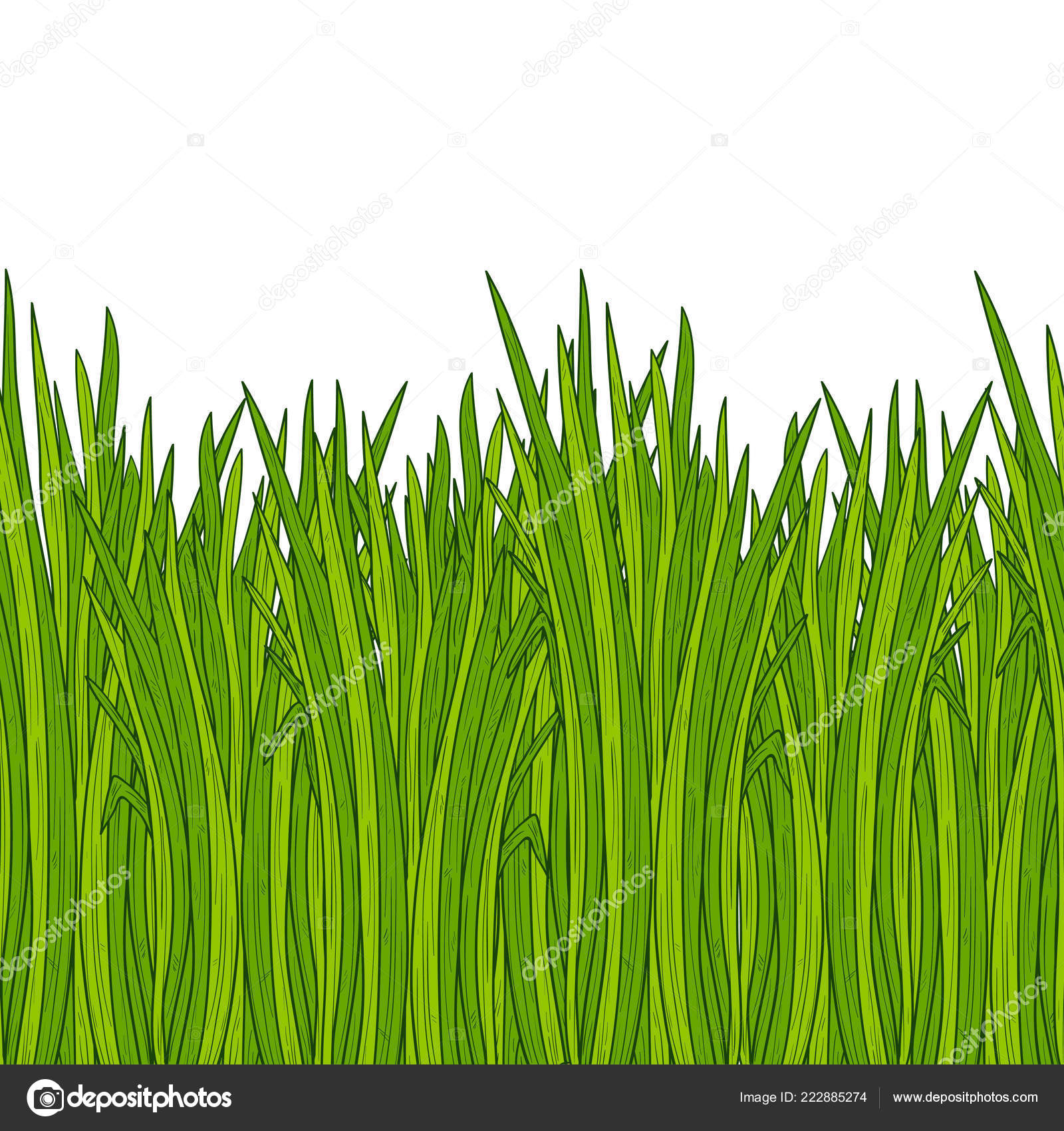 Sweet Grass - HD Wallpaper 