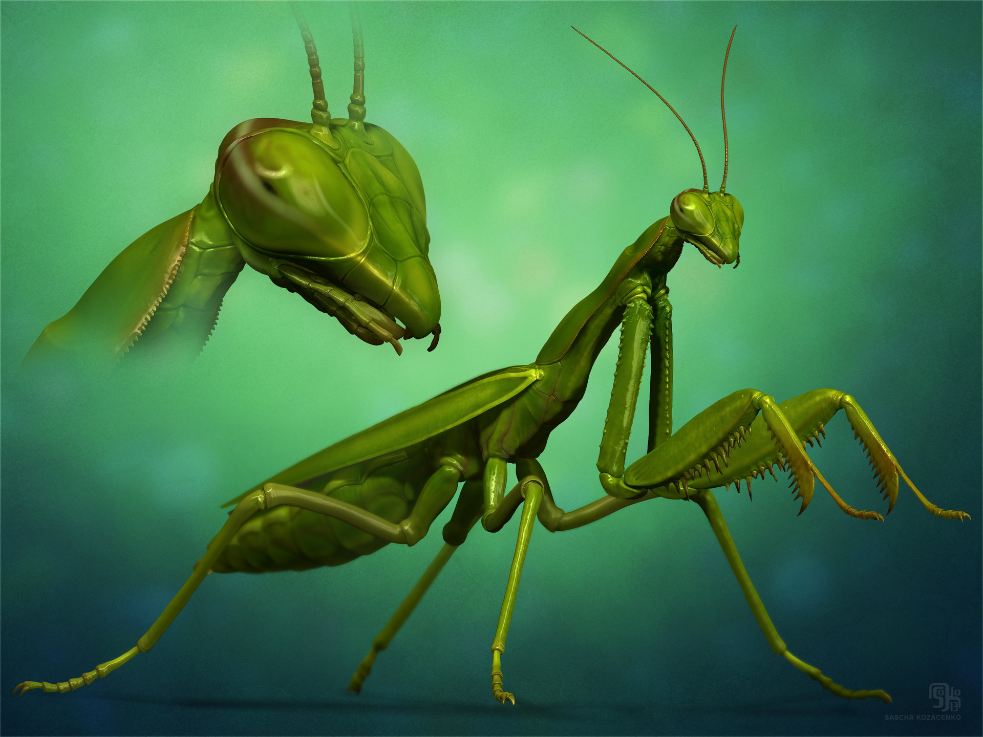 Mantis Religiosa Art - HD Wallpaper 