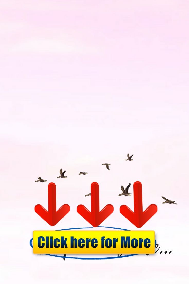 Wallpaper - HD Wallpaper 