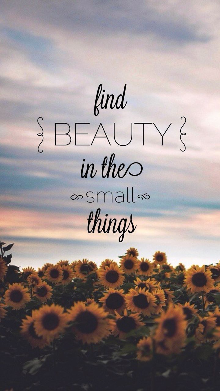 Beauty Of Small Things Quotes - HD Wallpaper 