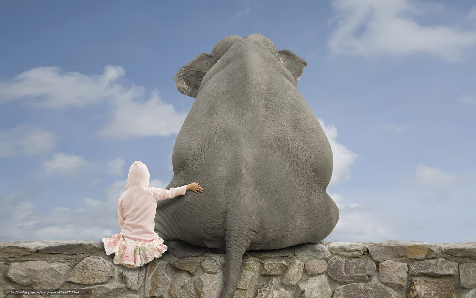 Baixar Wallpaper Menina, Elefante, Amizade, Cu Papis - Human And Elephant - HD Wallpaper 