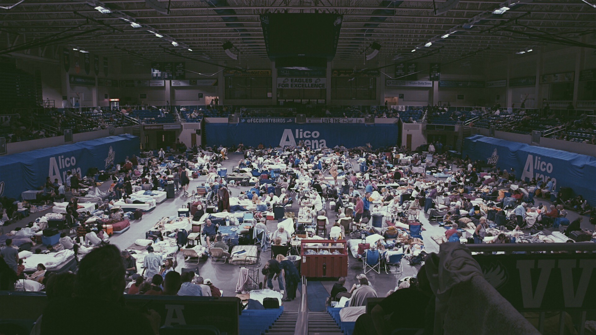 Hurricane Irma Pet Friendly Shelters - HD Wallpaper 