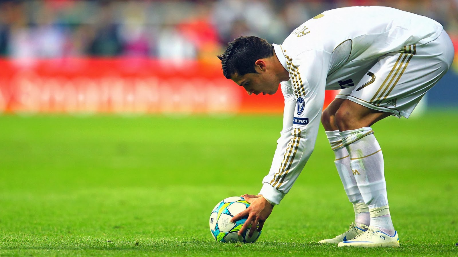 Kick The Cat Funny - HD Wallpaper 