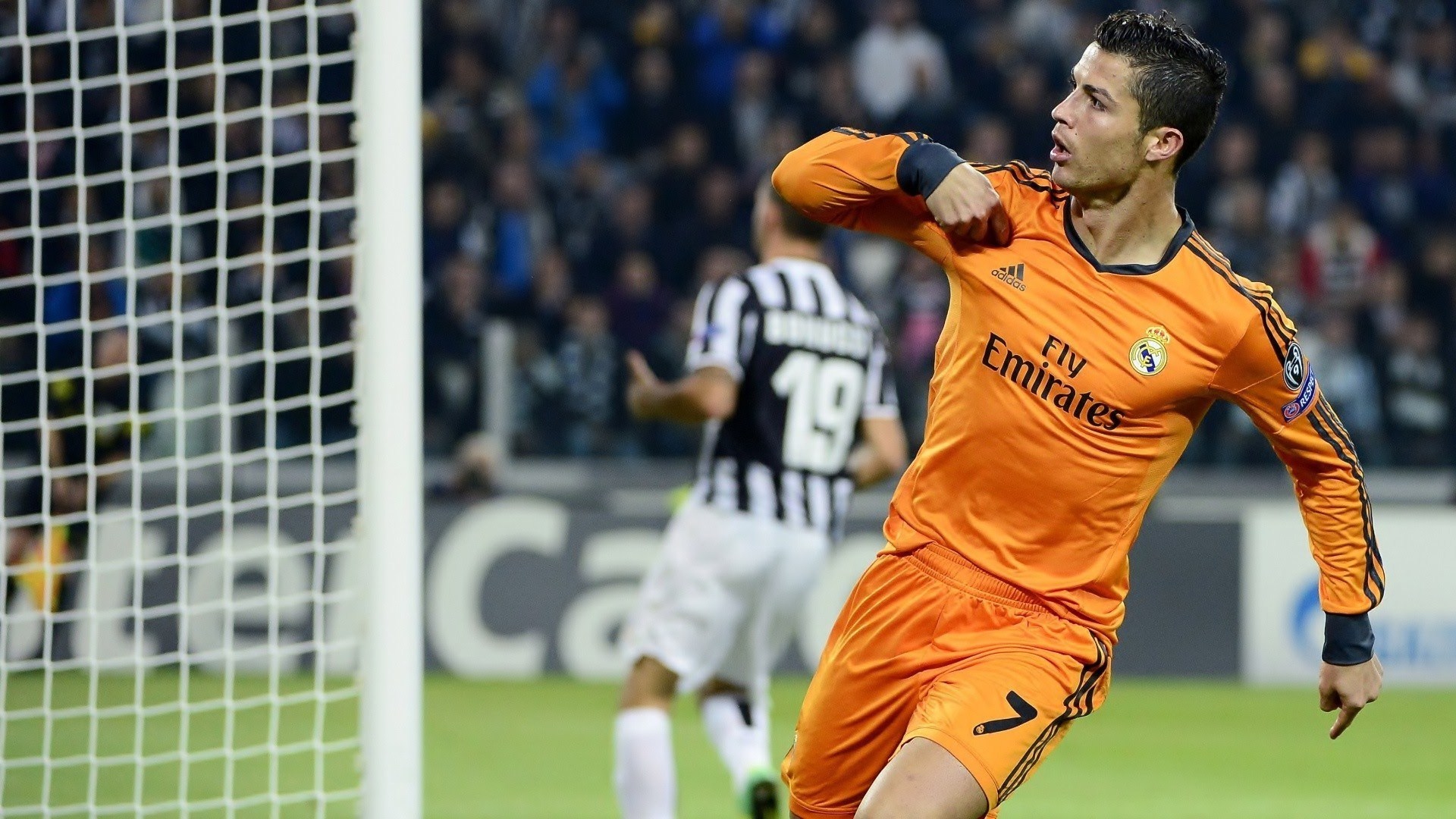 Lone Pine Koala Sanctuary - HD Wallpaper 