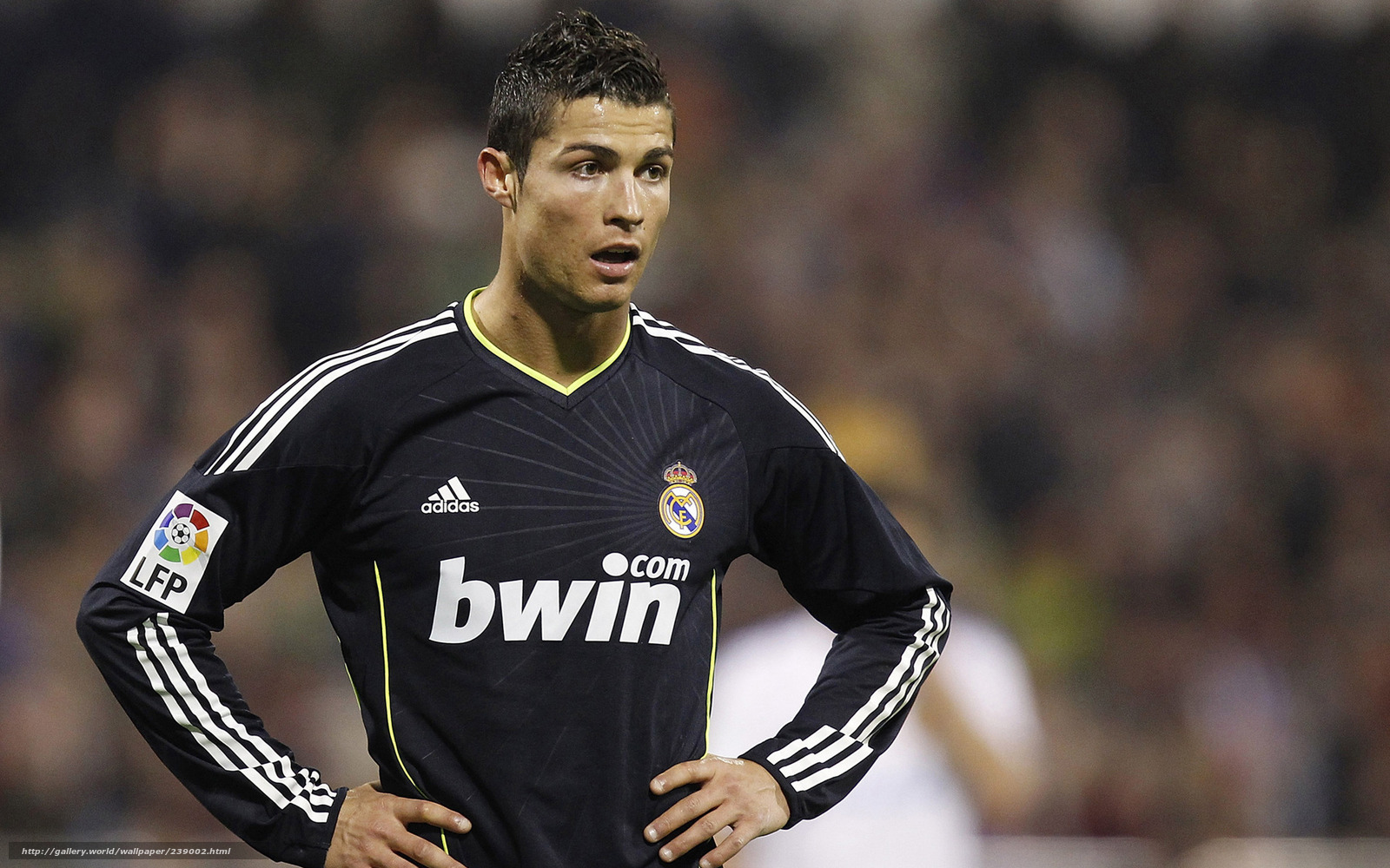 Download Wallpaper Sport, Cristiano Ronaldo Wallpaper, - Download Cristiano Ronaldo Themes - HD Wallpaper 