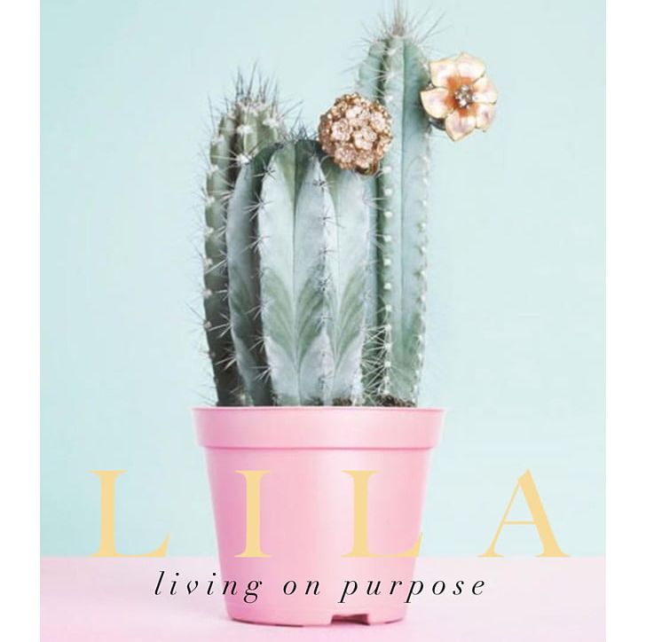 Cactaceae Succulent Plant Pastel Desktop Png, Clipart, - HD Wallpaper 