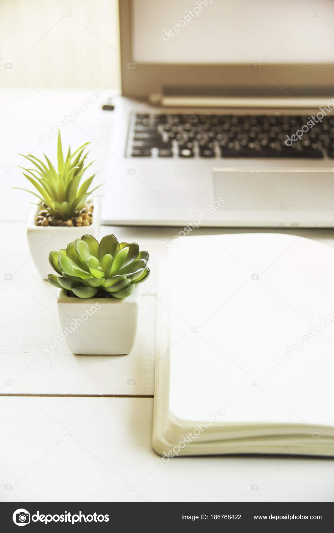 Flowerpot - HD Wallpaper 