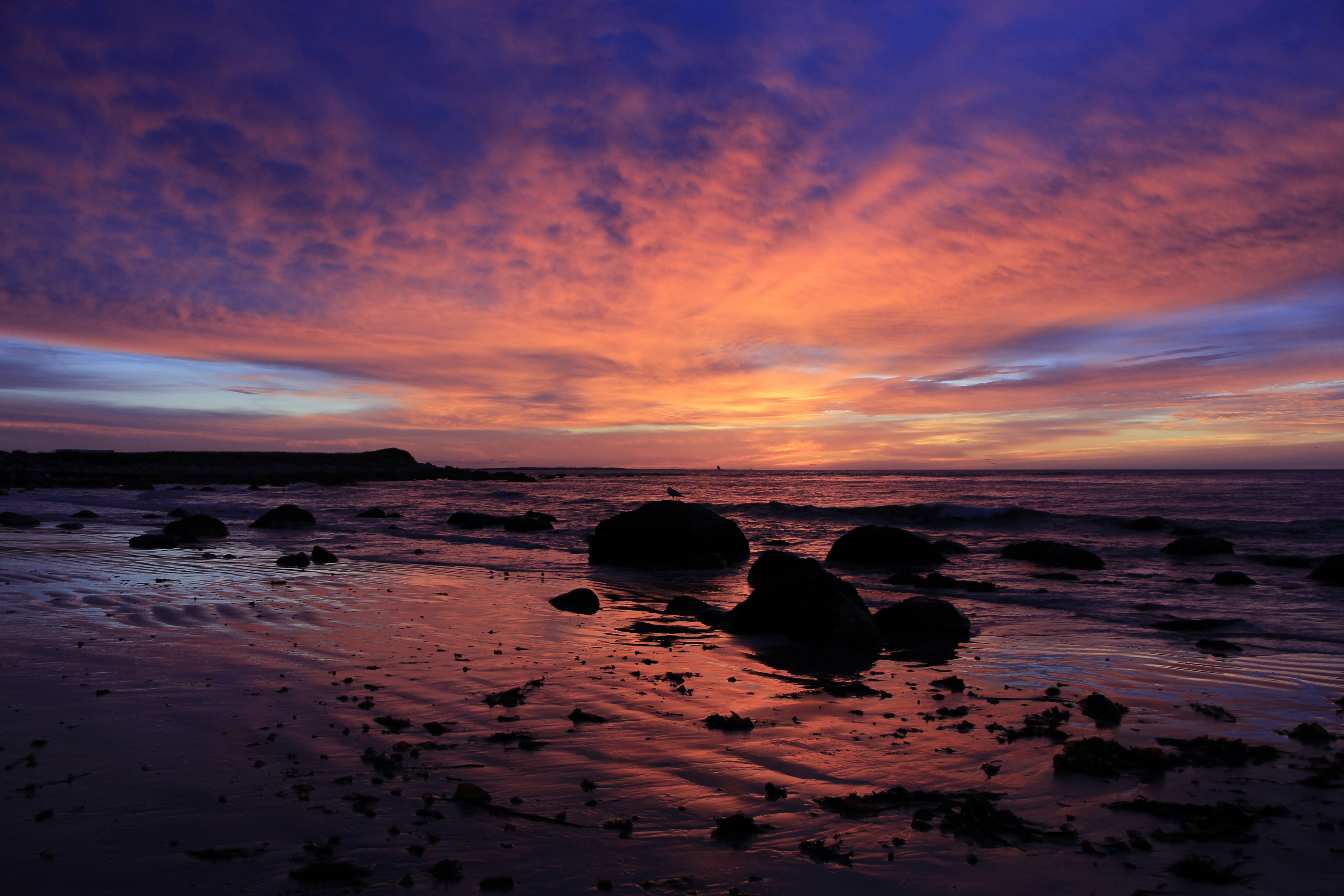 Pink Sunset Wallpaper - HD Wallpaper 