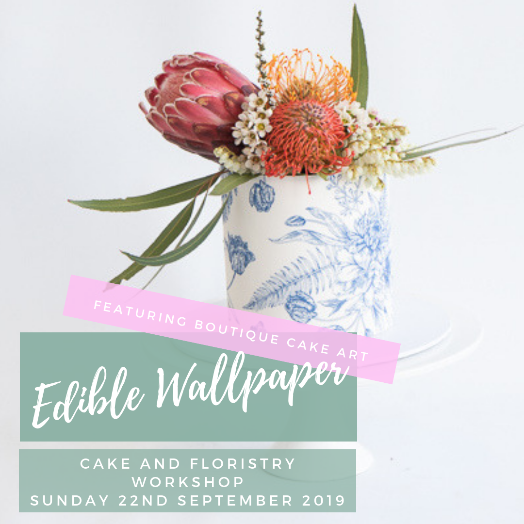 Giant Protea - HD Wallpaper 