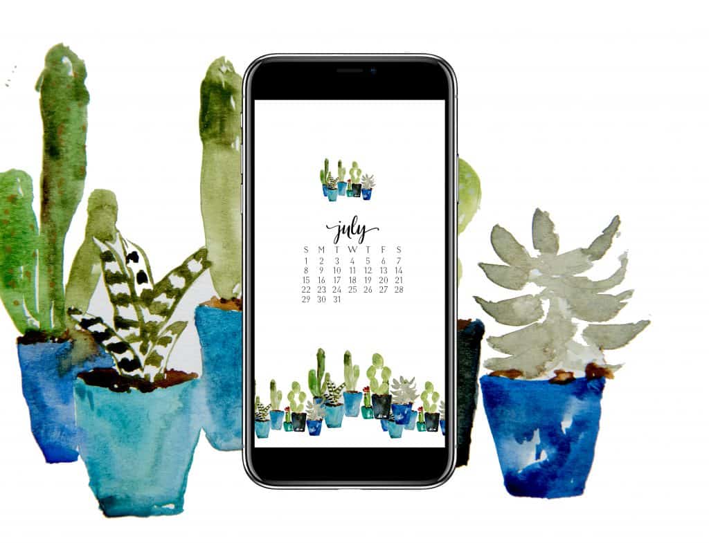 Flowerpot - HD Wallpaper 