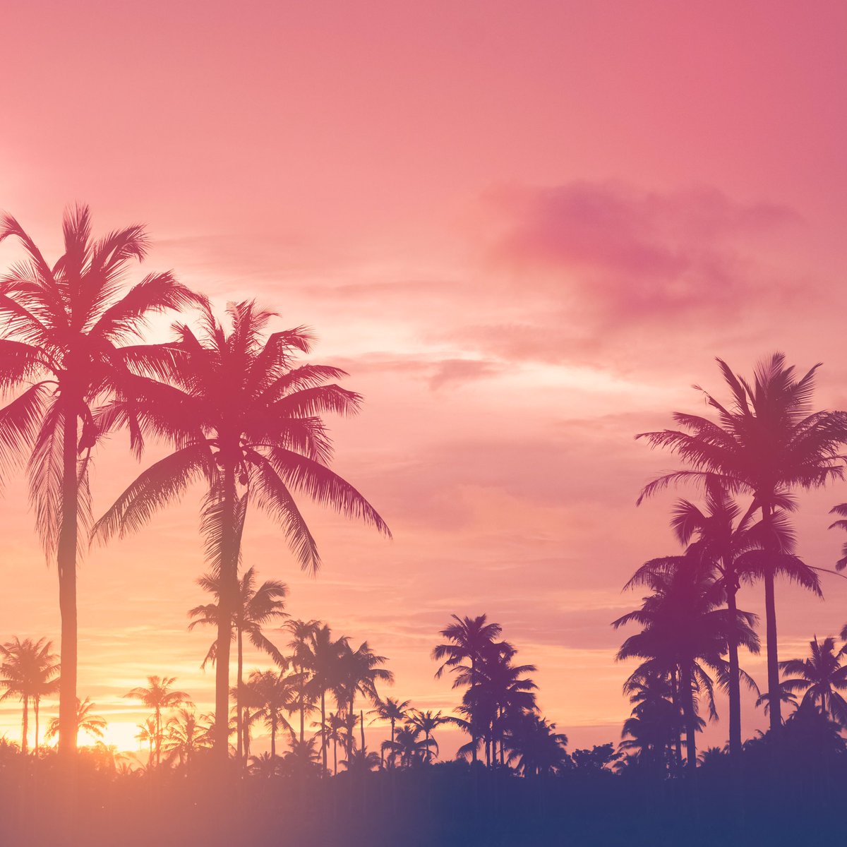 Etui Na Telefon Asus - HD Wallpaper 