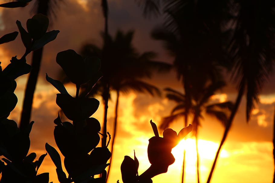 Kapa A, Kauai, Hawaii, Sunset, Silhouette, Island, - Silhouette - HD Wallpaper 