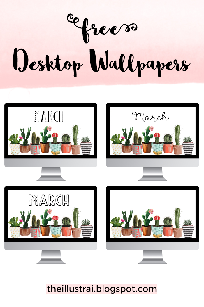 Download These Adorable Succulent Desktop Wallpapers - Flat Panel Display - HD Wallpaper 