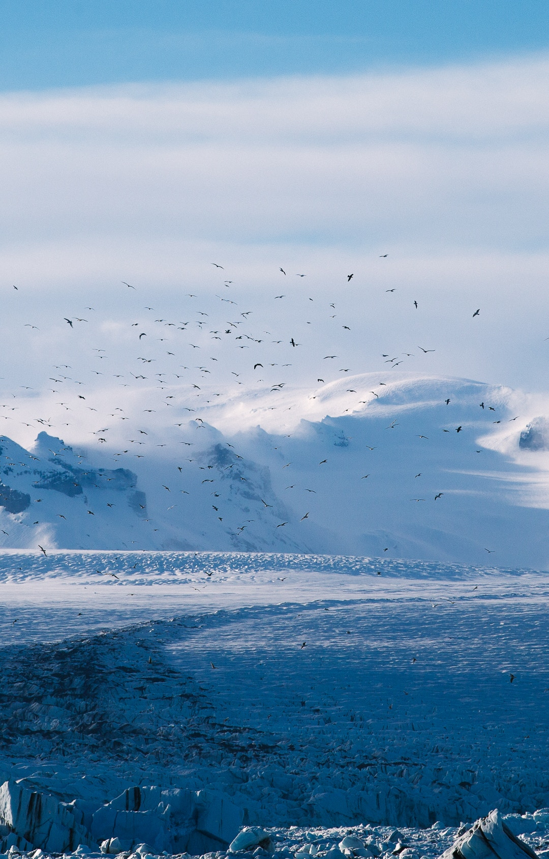 Arctic Plains Iphone Wallpaper - Ice Snow Wallpaper Hd - HD Wallpaper 