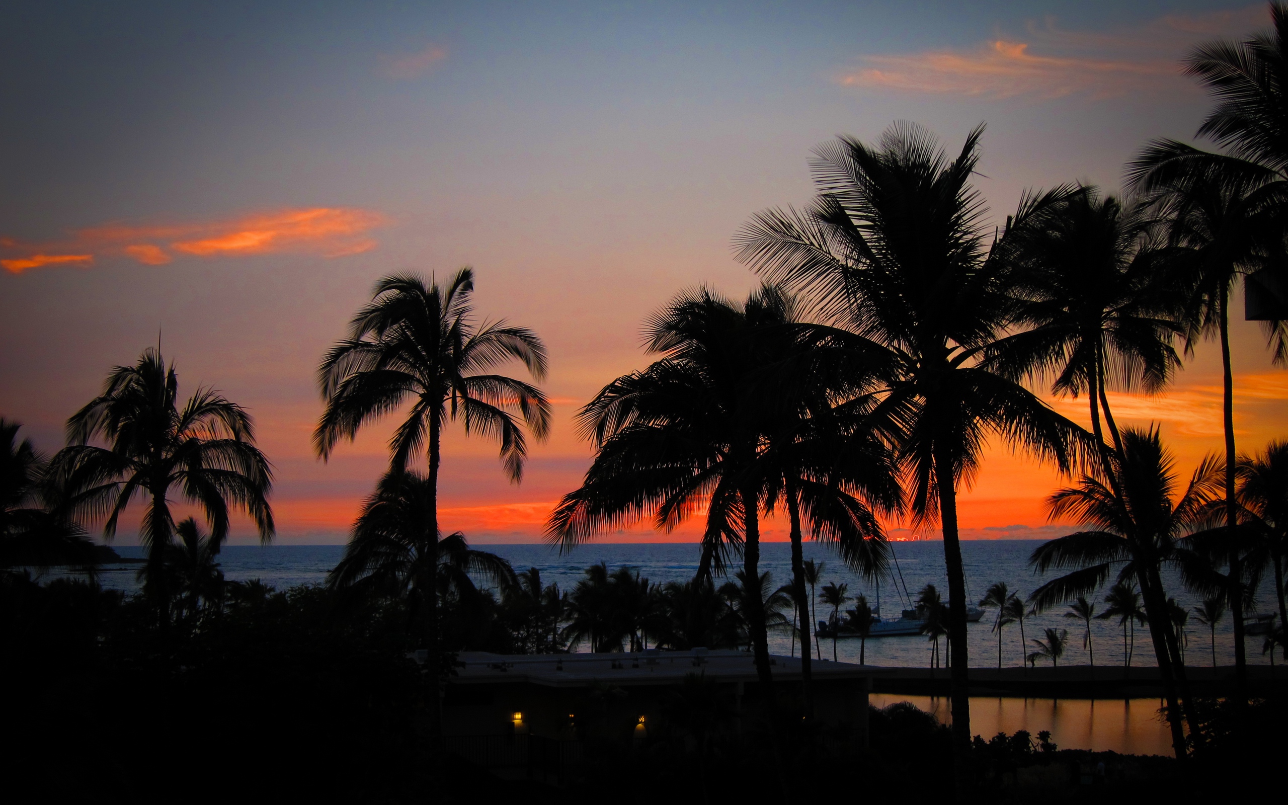 Wallpaper Palm Trees, Sunset, Hawaii, Ocean, Horizon - Hawaii Sunset - HD Wallpaper 