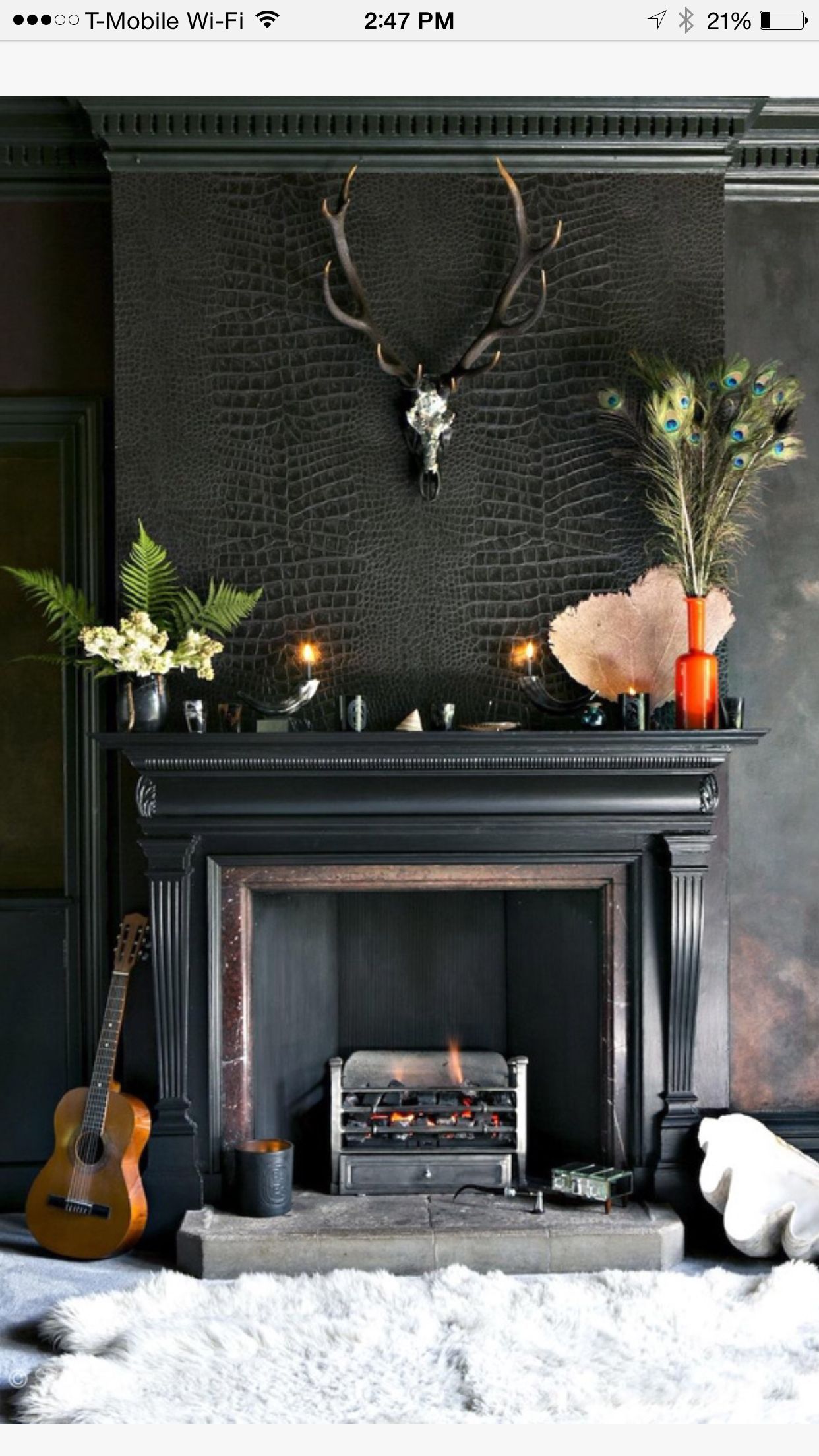 Black Alligator Wallpaper Room - HD Wallpaper 