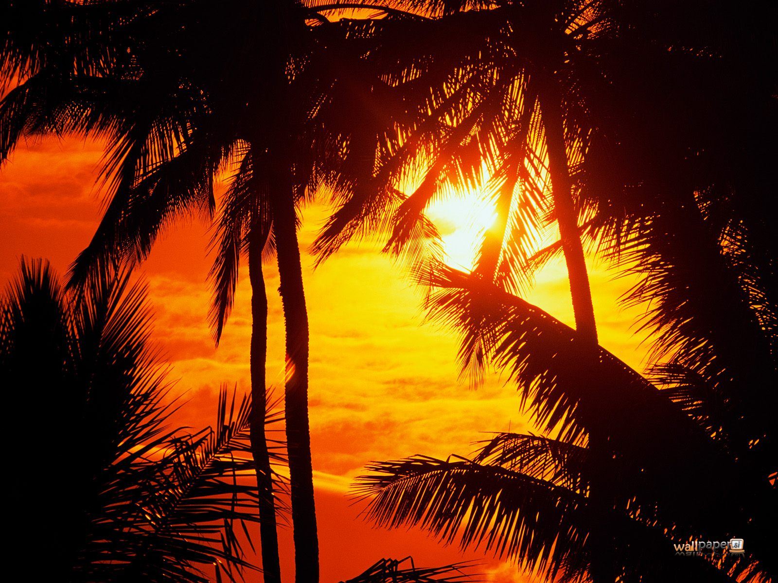 Hawaii Sunsets Wallpaper 1600x1200, - Diseño De Atardecer - HD Wallpaper 