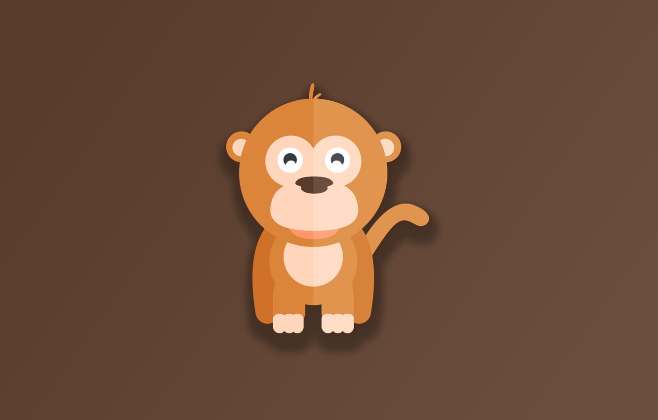 Photo Wallpaper Monkey, Minimalism, Animal, Funny, - Wallpaper - HD Wallpaper 